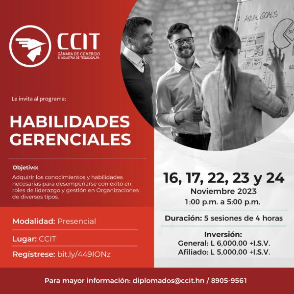 Programa de "Habilidades Gerenciales"