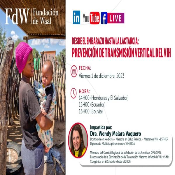 Transmisión en vivo: Día Mundial de la Lucha contra el Sida “Desde el Embarazo hasta la Lactancia: Prevención de transmisión vertical del VIH”