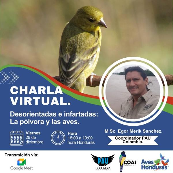 Charla Virtual: "Las aves y la Pólvora" 