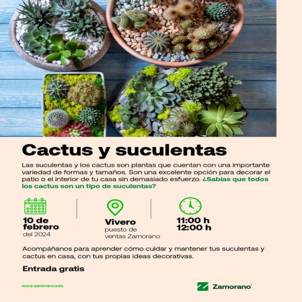 Descubre el mundo de los cactus y suculentas