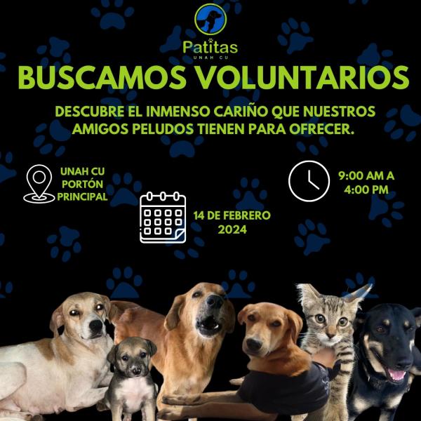 Sé parte de nuestra familia de voluntarios en Patitas UNAH 