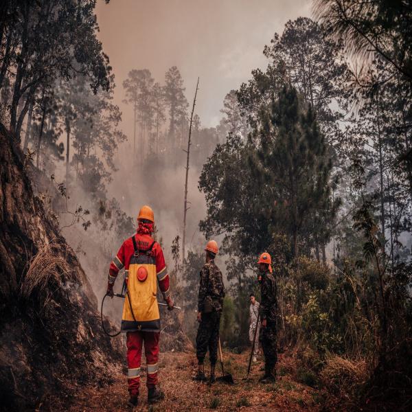 Ministro del ICF dará declaraciones, en marco a los incendios registrados en Nueva Armenia