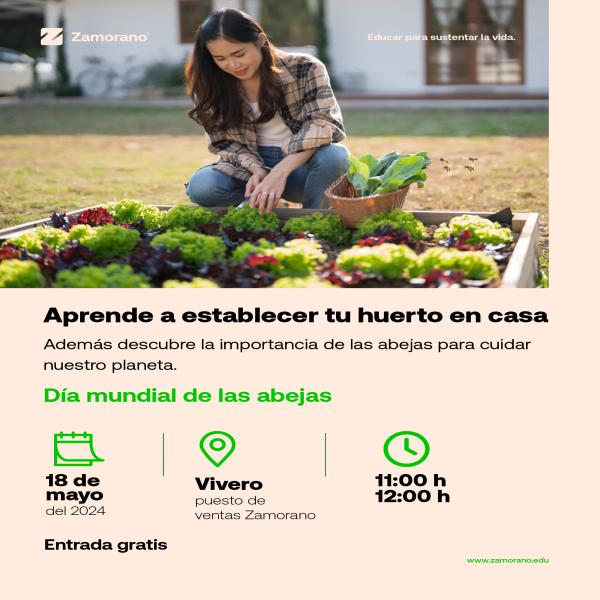 Webinar: Aprende a establecer tu huerto en casa 