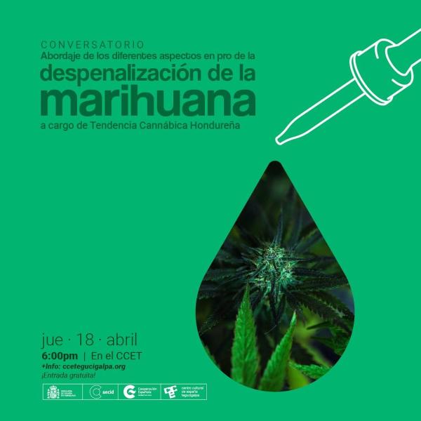 Conversatorio: Despenalización de la marihuana  