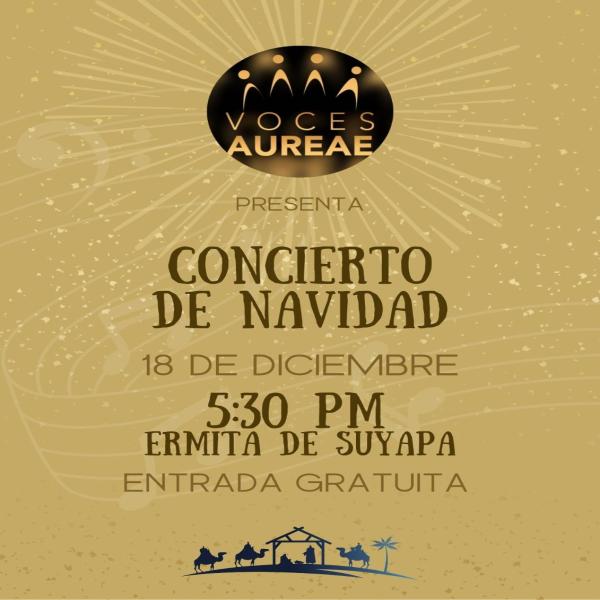 Concierto de Navidad 