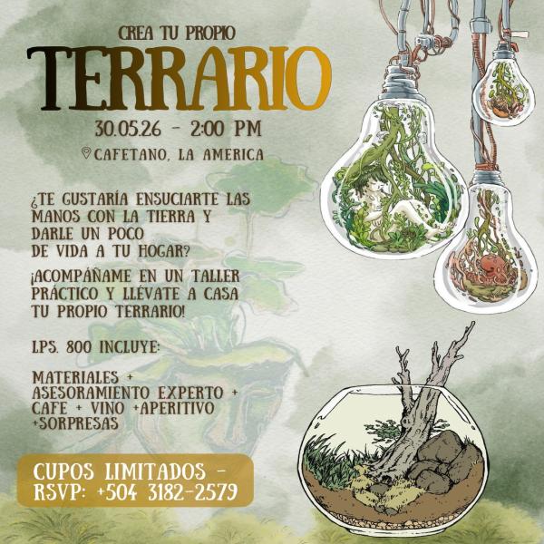 Taller: Haz tu propio terrario