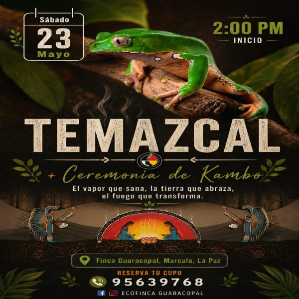 Temazcal: Ceremonia de Kambo 