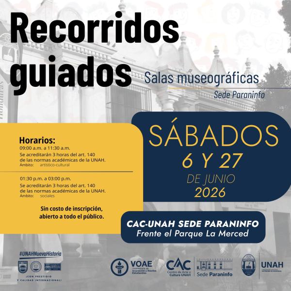 Recorridos guiados por las salas museográficas 