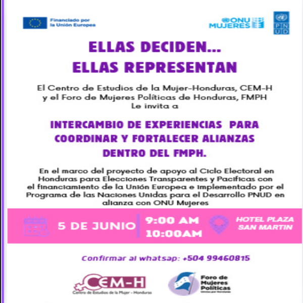Intercambio de experiencias: Ellas deciden… ellas representan 