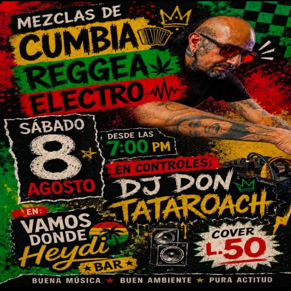 Mezclas de Cumbia – Reggea – Electro 
